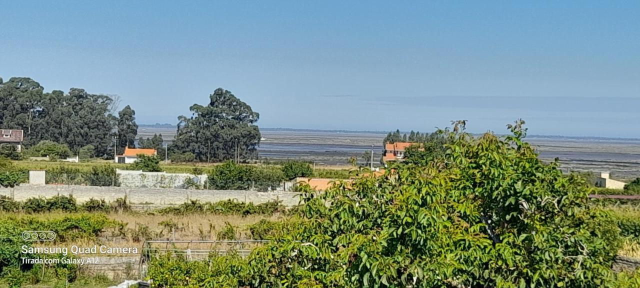 Casa Afonso - Passadicos Do Paco Hotell Aveiro Exteriör bild